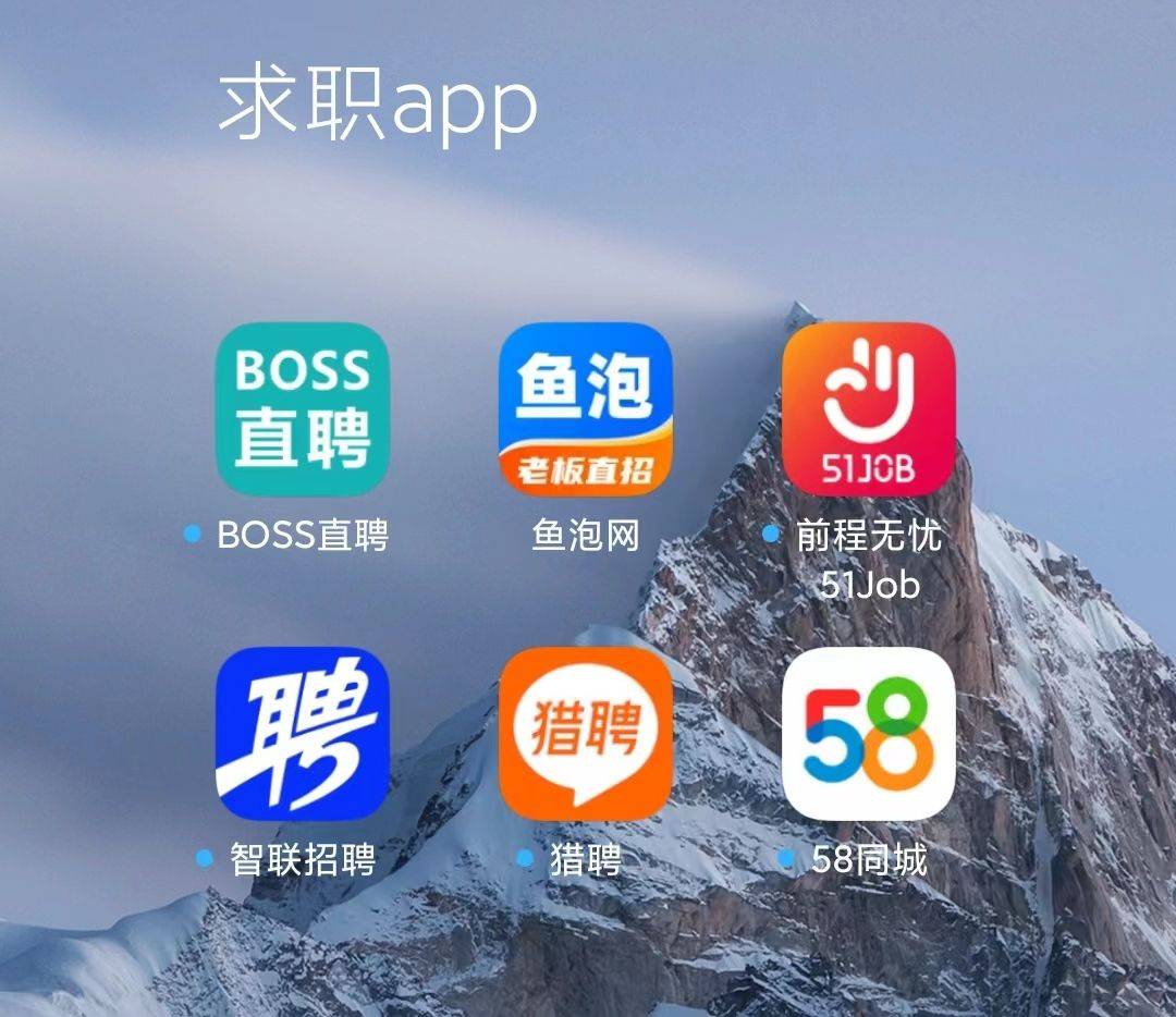 国内正规找工作的网站有哪些
