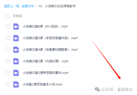 抄小说赚钱是怎么回事，探寻背后的秘密