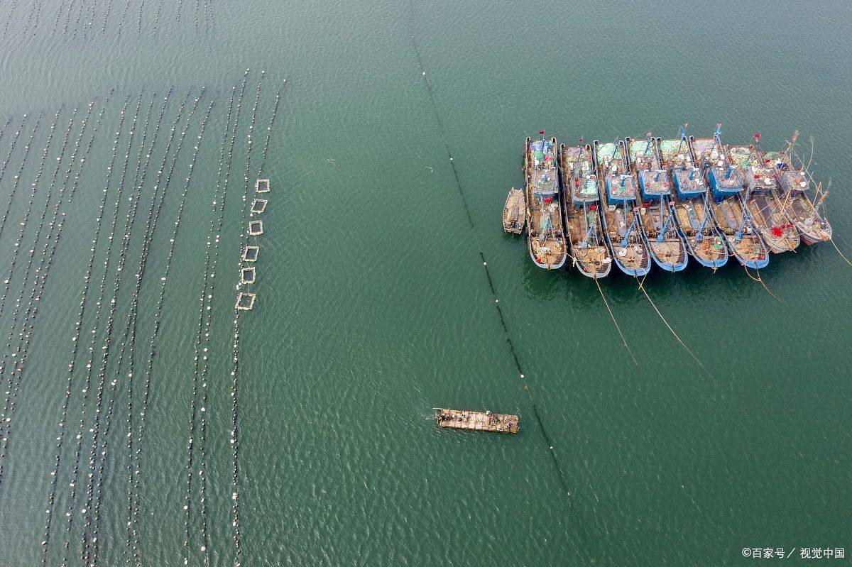 太平洋岛国与国际渔业权经济谈判：共创海洋持续未来——ETO外汇